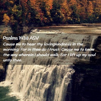 Picture 02 - Psalms 143:8 ASV - Cause me to hear thy lovingkindness in the - Bible Verse Picture