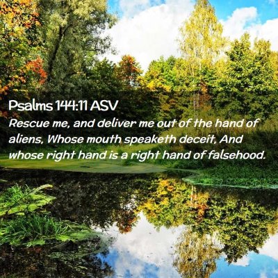 Picture 02 - Psalms 144:11 ASV - Rescue me, and deliver me out of the hand of - Bible Verse Picture