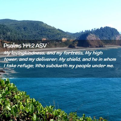 Picture 02 - Psalms 144:2 ASV - My lovingkindness, and my fortress, My high - Bible Verse Picture