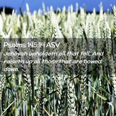 Picture 02 - Psalms 145:14 ASV - Jehovah upholdeth all that fall, And raiseth up - Bible Verse Picture