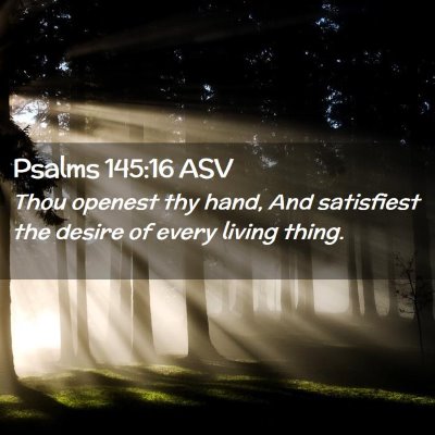 Picture 02 - Psalms 145:16 ASV - Thou openest thy hand, And satisfiest the desire - Bible Verse Picture