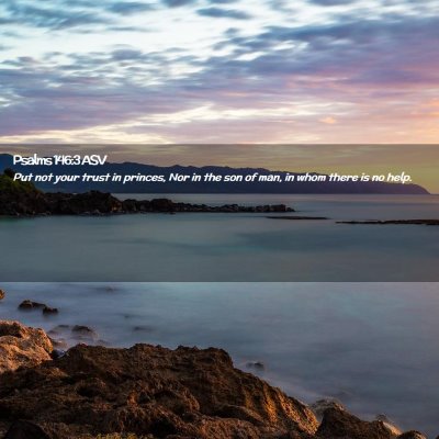Picture 02 - Psalms 146:3 ASV - Put not your trust in princes, Nor in the son of - Bible Verse Picture