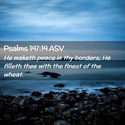 Picture 02 - Psalms 147:14 ASV - He maketh peace in thy borders; He filleth thee - Bible Verse Picture