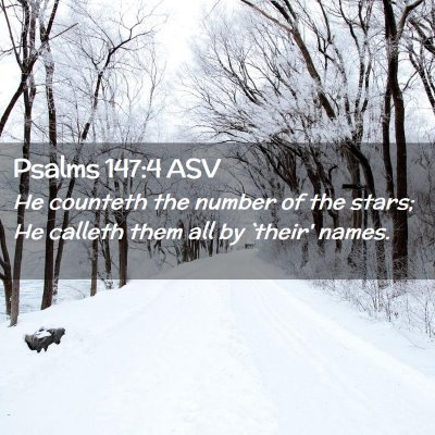 Picture 02 - Psalms 147:4 ASV - He counteth the number of the stars; He calleth - Bible Verse Picture