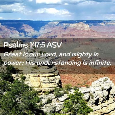 Picture 02 - Psalms 147:5 ASV - Great is our Lord, and mighty in power; His - Bible Verse Picture