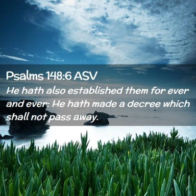 Picture 02 - Psalms 148:6 ASV - He hath also established them for ever and ever: - Bible Verse Picture
