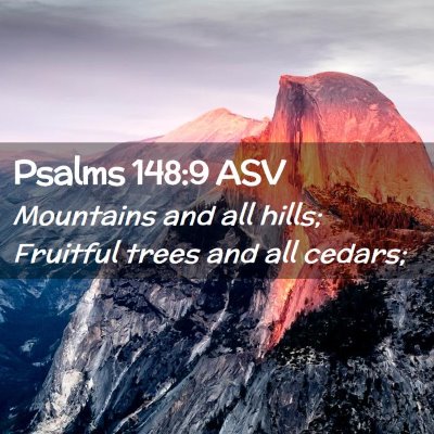 Picture 02 - Psalms 148:9 ASV - Mountains and all hills; Fruitful trees and all - Bible Verse Picture