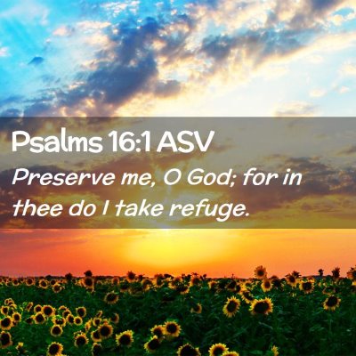Picture 02 - Psalms 16:1 ASV - Preserve me, O God; for in thee do I take - Bible Verse Picture