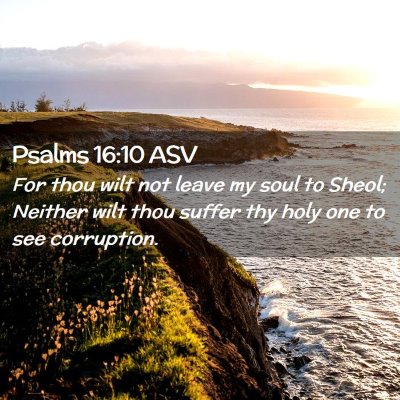 Picture 02 - Psalms 16:10 ASV - For thou wilt not leave my soul to Sheol; Neither - Bible Verse Picture
