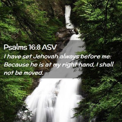 Picture 02 - Psalms 16:8 ASV - I have set Jehovah always before me: Because he - Bible Verse Picture