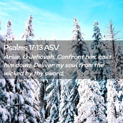 Picture 02 - Psalms 17:13 ASV - Arise, O Jehovah, Confront him, cast him down: - Bible Verse Picture
