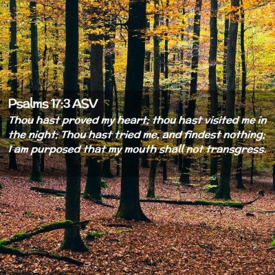 Picture 02 - Psalms 17:3 ASV - Thou hast proved my heart; thou hast visited me - Bible Verse Picture