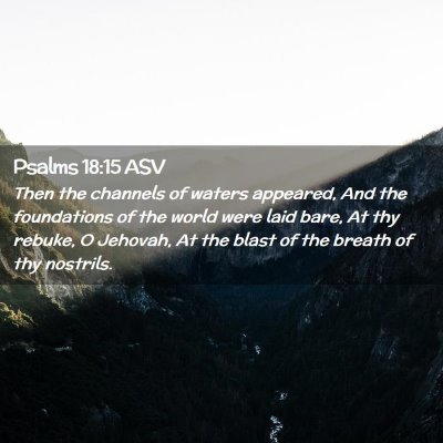 Picture 02 - Psalms 18:15 ASV - Then the channels of waters appeared, And the - Bible Verse Picture