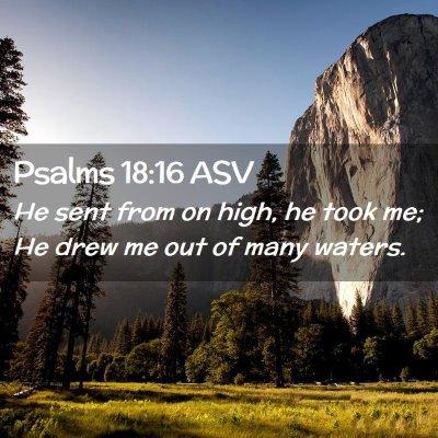 Picture 02 - Psalms 18:16 ASV - He sent from on high, he took me; He drew me out - Bible Verse Picture