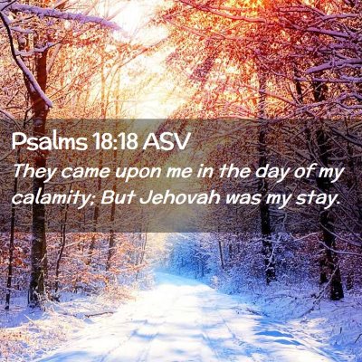 Picture 02 - Psalms 18:18 ASV - They came upon me in the day of my calamity; But - Bible Verse Picture