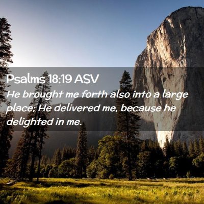 Picture 02 - Psalms 18:19 ASV - He brought me forth also into a large place; He - Bible Verse Picture