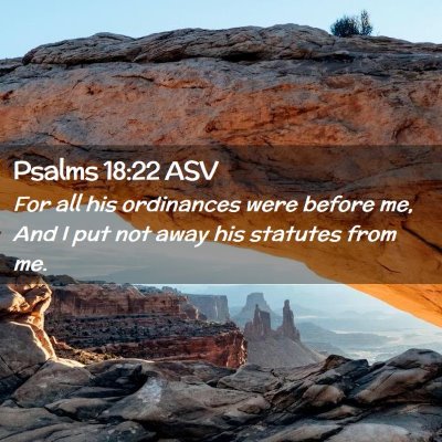 Picture 02 - Psalms 18:22 ASV - For all his ordinances were before me, And I put - Bible Verse Picture