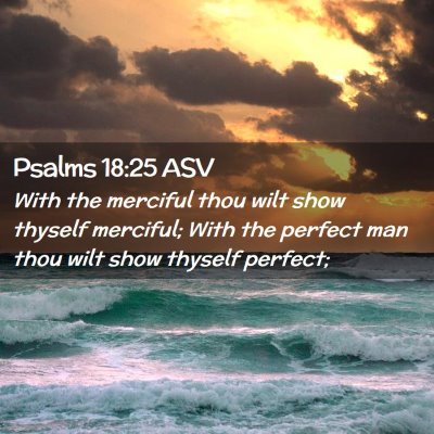 Picture 02 - Psalms 18:25 ASV - With the merciful thou wilt show thyself - Bible Verse Picture