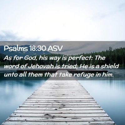 Picture 02 - Psalms 18:30 ASV - As for God, his way is perfect: The word of - Bible Verse Picture