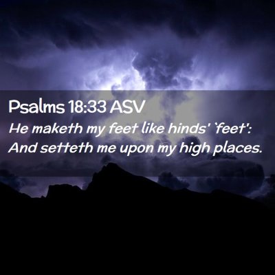 Picture 02 - Psalms 18:33 ASV - He maketh my feet like hinds' `feet': And setteth - Bible Verse Picture
