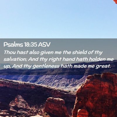 Picture 02 - Psalms 18:35 ASV - Thou hast also given me the shield of thy - Bible Verse Picture
