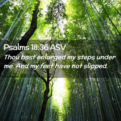 Picture 02 - Psalms 18:36 ASV - Thou hast enlarged my steps under me, And my feet - Bible Verse Picture