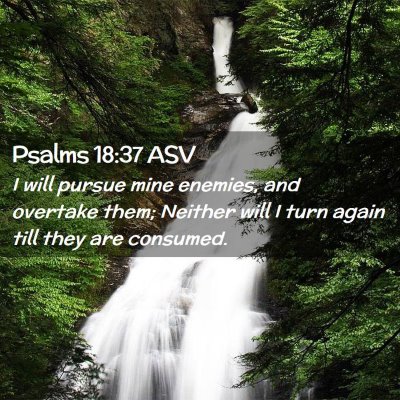 Picture 02 - Psalms 18:37 ASV - I will pursue mine enemies, and overtake them; - Bible Verse Picture