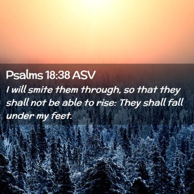 Picture 02 - Psalms 18:38 ASV - I will smite them through, so that they shall not - Bible Verse Picture