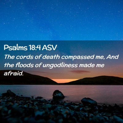 Picture 02 - Psalms 18:4 ASV - The cords of death compassed me, And the floods - Bible Verse Picture