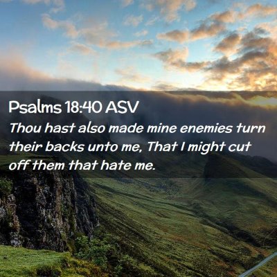 Picture 02 - Psalms 18:40 ASV - Thou hast also made mine enemies turn their backs - Bible Verse Picture