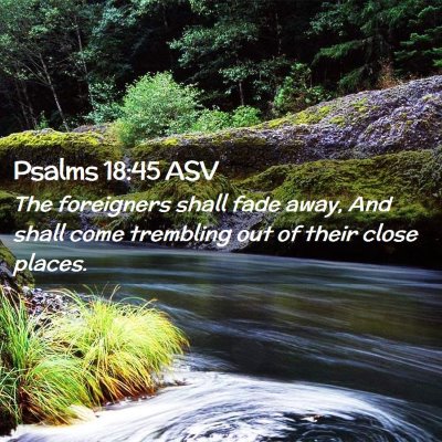 Picture 02 - Psalms 18:45 ASV - The foreigners shall fade away, And shall come - Bible Verse Picture