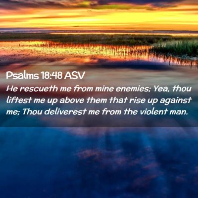 Picture 02 - Psalms 18:48 ASV - He rescueth me from mine enemies; Yea, thou - Bible Verse Picture