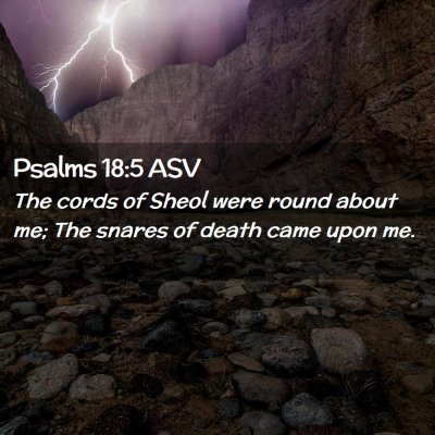 Picture 02 - Psalms 18:5 ASV - The cords of Sheol were round about me; The - Bible Verse Picture