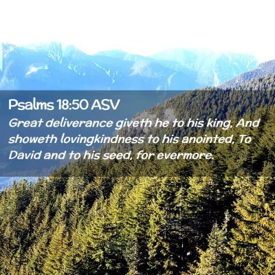 Picture 02 - Psalms 18:50 ASV - Great deliverance giveth he to his king, And - Bible Verse Picture