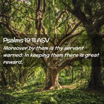 Picture 02 - Psalms 19:11 ASV - Moreover by them is thy servant warned: In - Bible Verse Picture