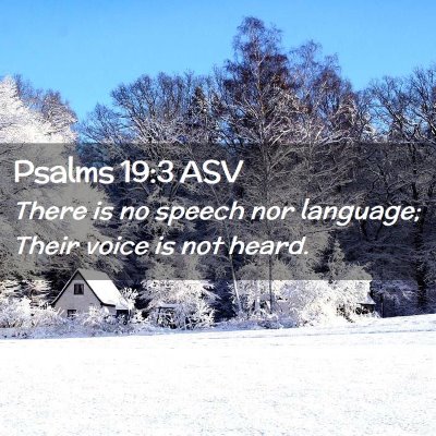 Picture 02 - Psalms 19:3 ASV - There is no speech nor language; Their voice is - Bible Verse Picture