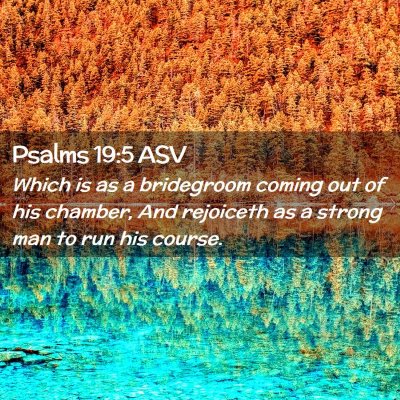 Picture 02 - Psalms 19:5 ASV - Which is as a bridegroom coming out of his - Bible Verse Picture