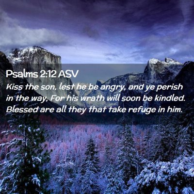 Picture 02 - Psalms 2:12 ASV - Kiss the son, lest he be angry, and ye perish in - Bible Verse Picture