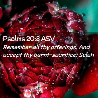 Picture 02 - Psalms 20:3 ASV - Remember all thy offerings, And accept thy - Bible Verse Picture