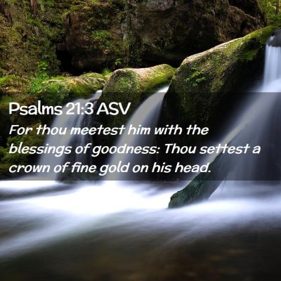 Picture 02 - Psalms 21:3 ASV - For thou meetest him with the blessings of - Bible Verse Picture