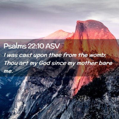 Picture 02 - Psalms 22:10 ASV - I was cast upon thee from the womb; Thou art my - Bible Verse Picture