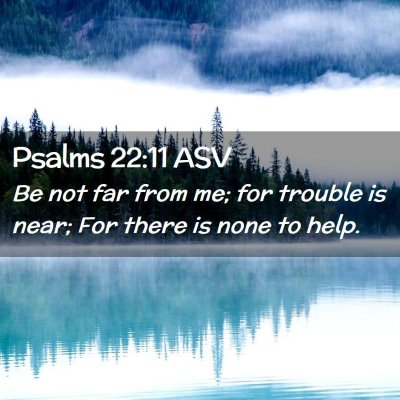 Picture 02 - Psalms 22:11 ASV - Be not far from me; for trouble is near; For - Bible Verse Picture
