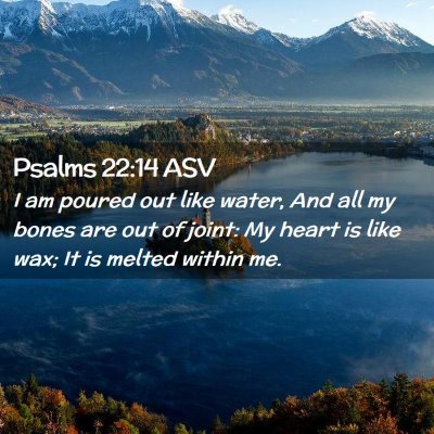Picture 02 - Psalms 22:14 ASV - I am poured out like water, And all my bones are - Bible Verse Picture