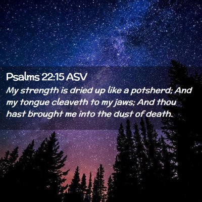 Picture 02 - Psalms 22:15 ASV - My strength is dried up like a potsherd; And my - Bible Verse Picture
