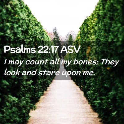 Picture 02 - Psalms 22:17 ASV - I may count all my bones; They look and stare - Bible Verse Picture