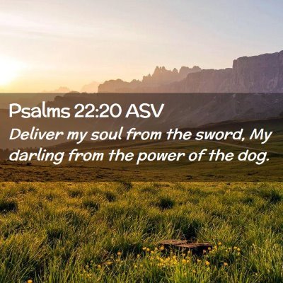 Picture 02 - Psalms 22:20 ASV - Deliver my soul from the sword, My darling from - Bible Verse Picture