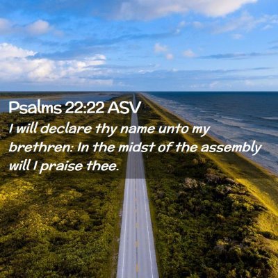 Picture 02 - Psalms 22:22 ASV - I will declare thy name unto my brethren: In the - Bible Verse Picture