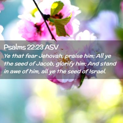Picture 02 - Psalms 22:23 ASV - Ye that fear Jehovah, praise him; All ye the seed - Bible Verse Picture