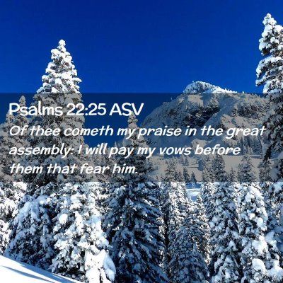 Picture 02 - Psalms 22:25 ASV - Of thee cometh my praise in the great assembly: I - Bible Verse Picture