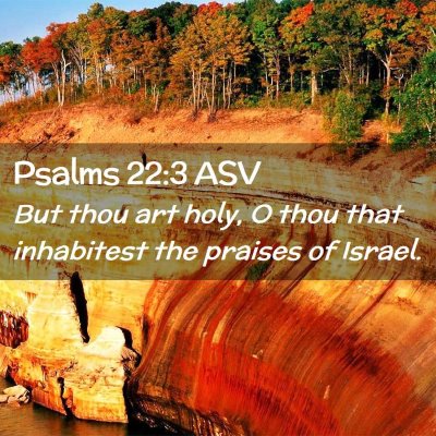 Picture 02 - Psalms 22:3 ASV - But thou art holy, O thou that inhabitest the - Bible Verse Picture